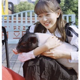 花吃了那个女孩