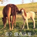 影梅庵