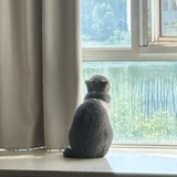 芋泥麻薯咸蛋黄