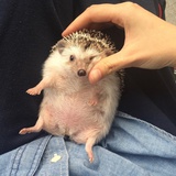 你醒醒