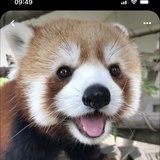 Jaecheung