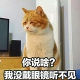 好白菜让猪拱了