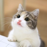 孤独行者