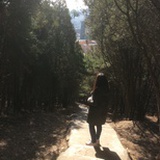 冰の暖调