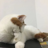 山月