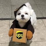 阿软