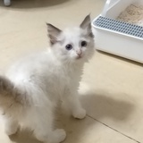 欣欣向荣