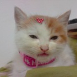luckymore