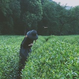 粥