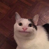 哈哈哈哈哈