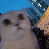 麦乐巨无霸