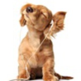 小鱼鱼鱼鱼鱼鱼