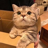 原野上的风