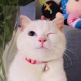 来份冰沙
