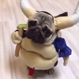 你看你那