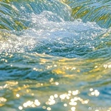 江湖河海滚滚来