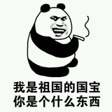 科科