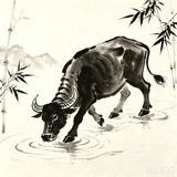不如自救