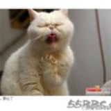 壹贰叁
