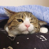 魚仔_