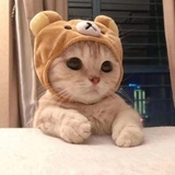 管⁢⁢理⁢员