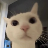 栗栗卅