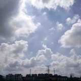 木头雨