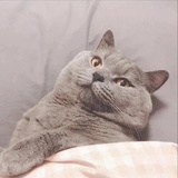 柚子柚子睡不着