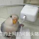 何时退休