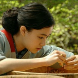 夏摩山谷夏目