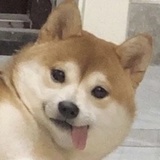 身怀绝技列方程