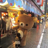 朗姆红提味百醇