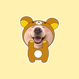 可乐要加冰