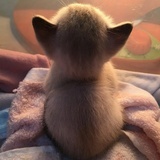 CalvinZhu