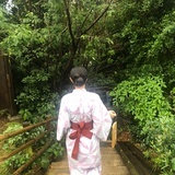 鱼小丑