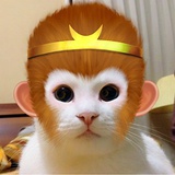 阿咪爾是捅刀王