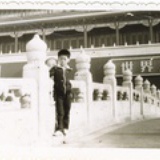 巴雷武