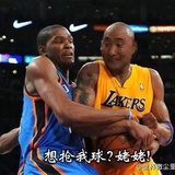 阿黎尬多