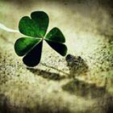clover