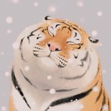 努力的小老虎🐯