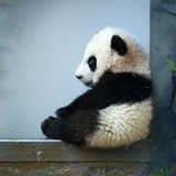 潦草白纸