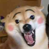 好好吃