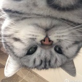 兲兲