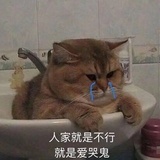 小不懂
