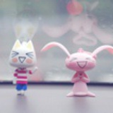 猫的眼睛