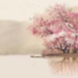沙林