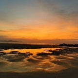 向海