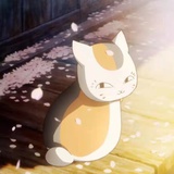 加拉奇科