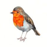 最难消受美人恩