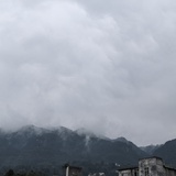 请不要乱望